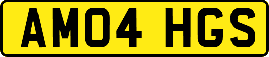 AM04HGS