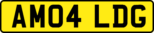 AM04LDG