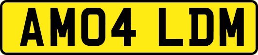 AM04LDM