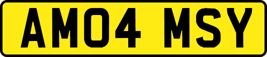 AM04MSY