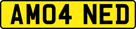 AM04NED