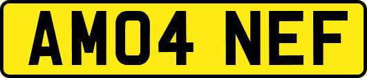 AM04NEF