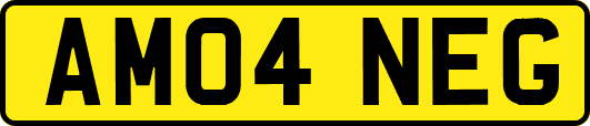 AM04NEG