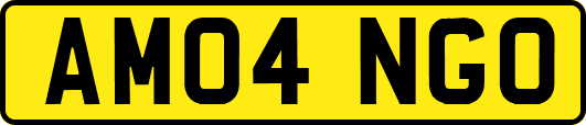 AM04NGO