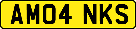AM04NKS