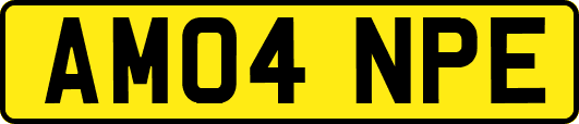AM04NPE