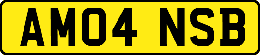 AM04NSB