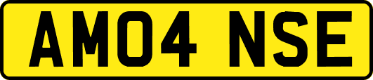 AM04NSE