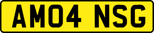 AM04NSG