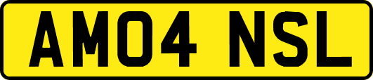 AM04NSL