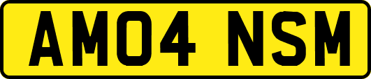 AM04NSM