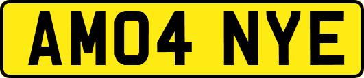 AM04NYE