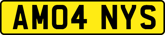AM04NYS