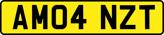 AM04NZT