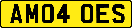 AM04OES