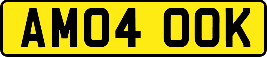 AM04OOK