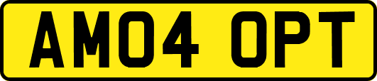AM04OPT