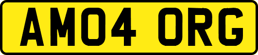 AM04ORG