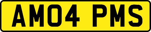 AM04PMS