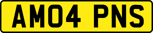 AM04PNS