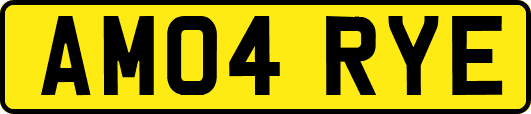 AM04RYE