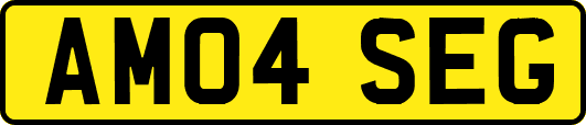 AM04SEG
