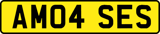 AM04SES