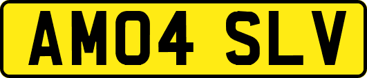 AM04SLV