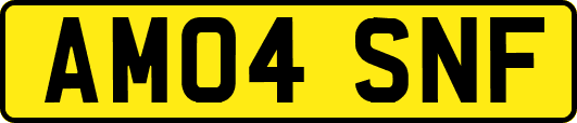AM04SNF