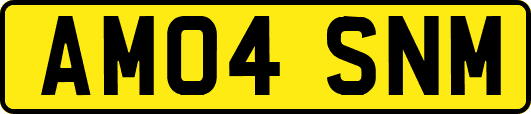 AM04SNM