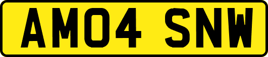 AM04SNW