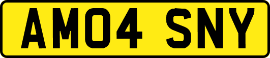 AM04SNY