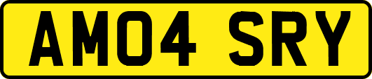 AM04SRY