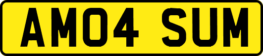 AM04SUM