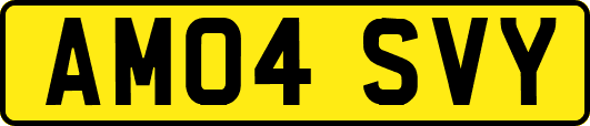 AM04SVY