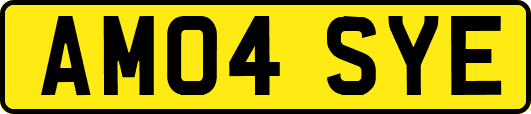 AM04SYE
