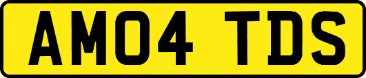 AM04TDS