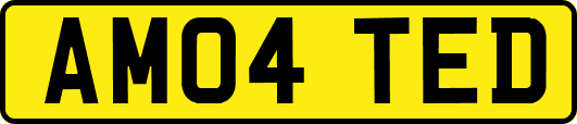 AM04TED