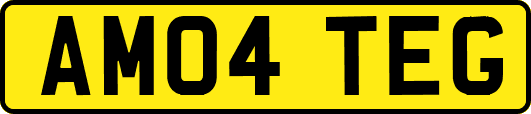 AM04TEG