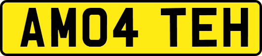 AM04TEH