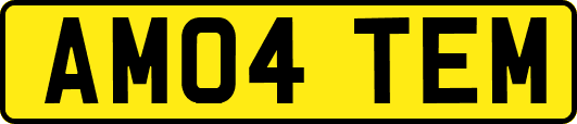 AM04TEM