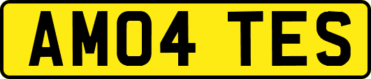 AM04TES