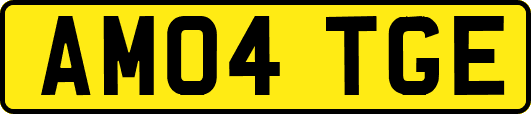 AM04TGE