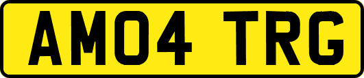 AM04TRG