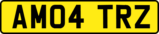 AM04TRZ