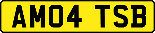 AM04TSB