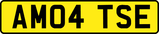 AM04TSE