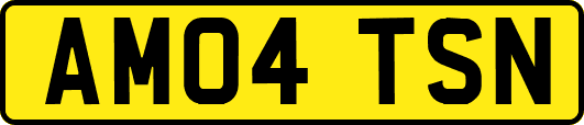 AM04TSN