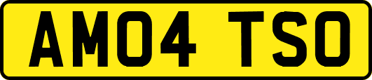 AM04TSO