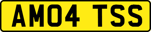 AM04TSS